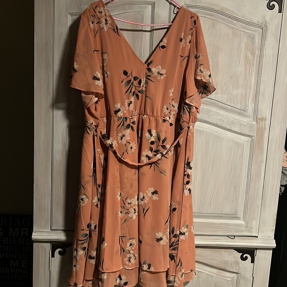 Can not fit into dress.  Beautiful flower sundress. 4x - Picture 3 of 3
